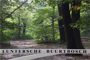 het-luntersche-buurtbosch_wandelen-fietsen-paardrijden-picknicken-bos_7_350_235